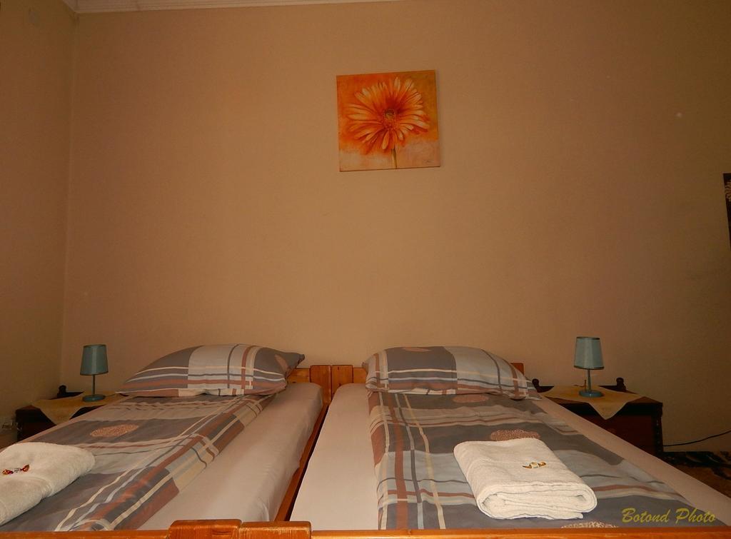 Sátor-Hegy Vendégház Abaujszanto Exterior foto